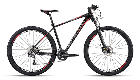 BOTTECCHIA FX125