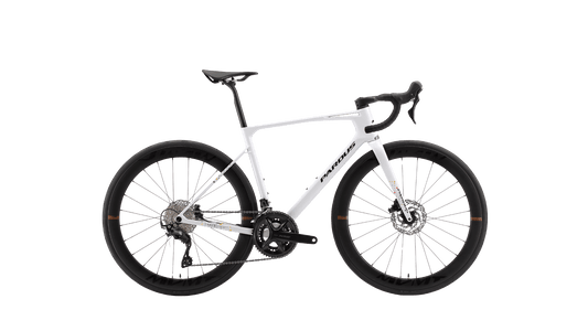 PARDUS Robin Sport